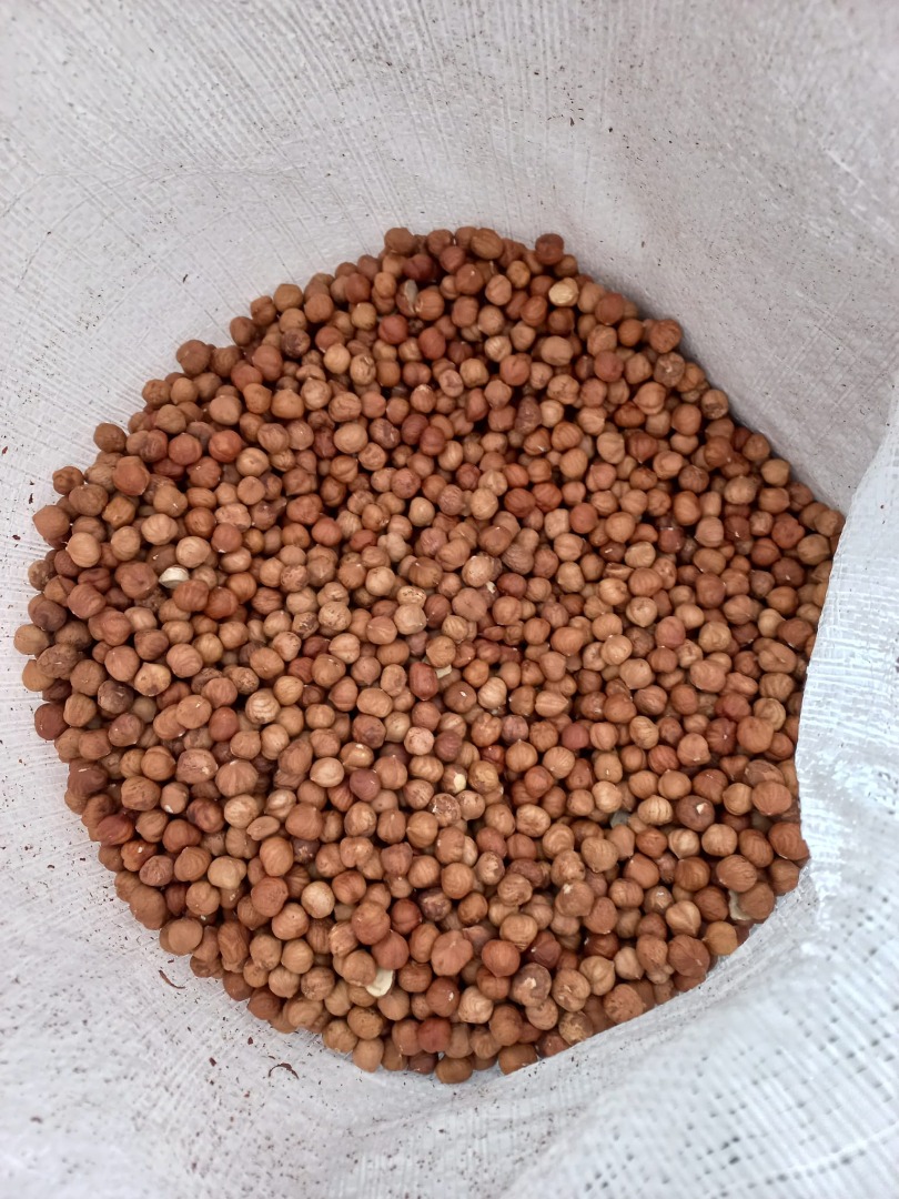 Hola, vendo producto de avellana, cosecha 2023, calibre 11-13, 1 tonelada