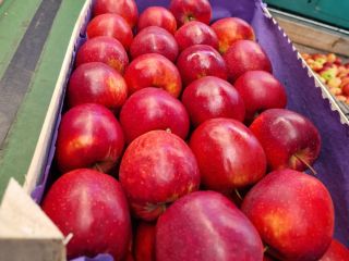 Venderé manzanas de consumo de KA. + Variedades frescas