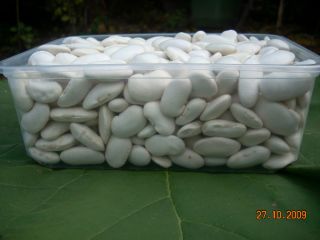 frijol blanco grande, 65-75 piezas/100g, producción ecológica, disponibilidad 1-15