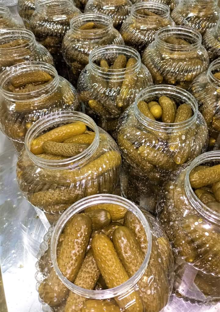 Vendo pepinos encurtidos en salmuera, enteros o en rodajas, tengo grandes cantidades