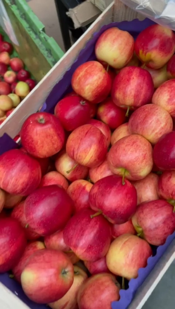 Venderé una manzana Gala rayada, cualquier embalaje, posiblemente en cajas preclasificadas, clase 1B, cantidades por camión