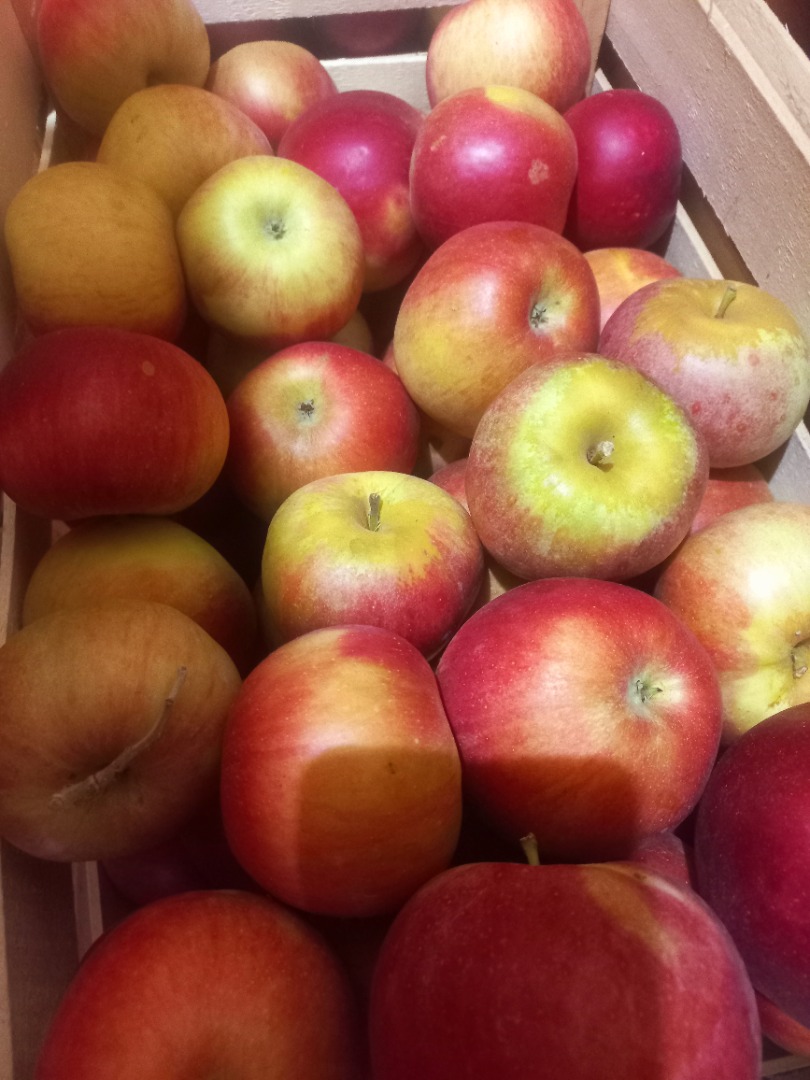 Vendo manzanas de la variedad Ajdared, los productos están en el frigorífico y están bien frescos..