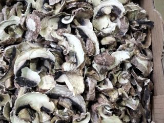 Venta de champiñones secos.