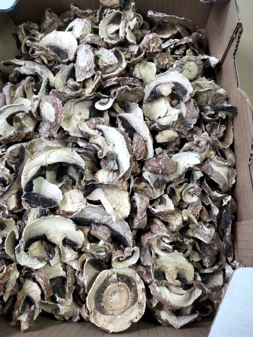 Venta de champiñones secos