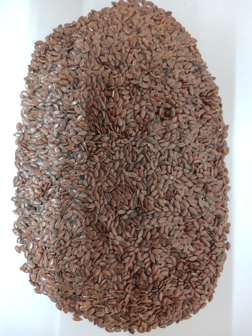 Cosecha de linaza marrón 2023 Pureza 97-98% Humedad máx