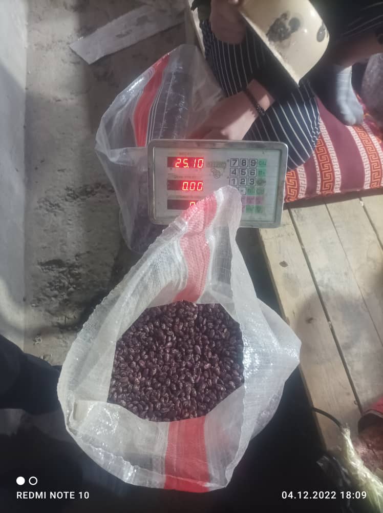 Vendemos frijoles pelados de la variedad Royal (Tashkent) de Uzbekistán