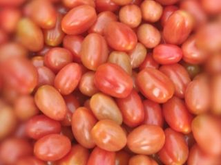 Vendo tomates cherry pera de la zona del Sur