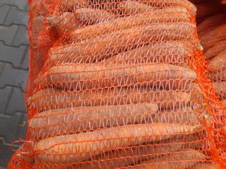 Venderé zanahoria comercial en bolsa de 10kg o suelta,