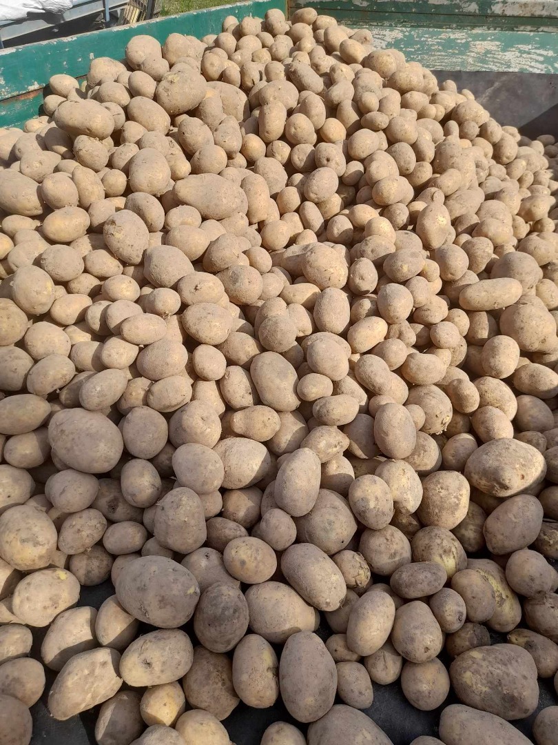 Vendo patatas de la variedad Soraya, posible entrega a domicilio