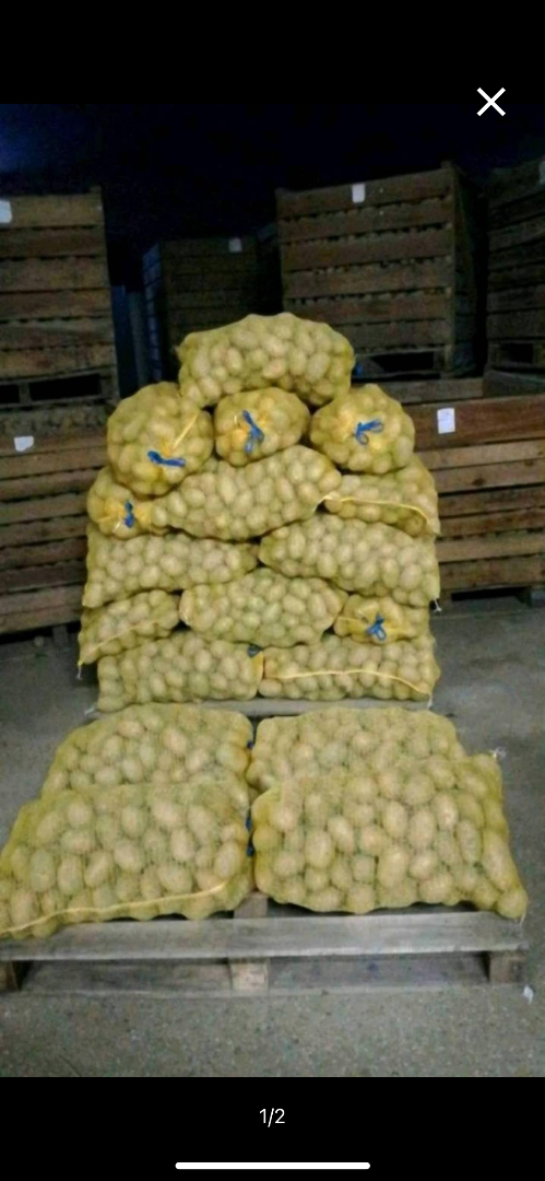 Ofrezco papas variedad valdivia (cerosa) y variedad chiara (predominantemente cerosa), papas de gran calidad y cuidadosamente clasificadas
