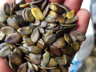 Soy un agricultor que vende mis propias semillas de