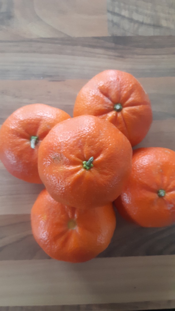 Venderé mandarinas de Adana/Türkiye en grandes cantidades