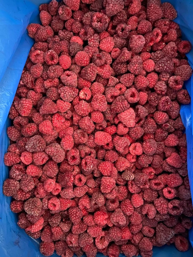 Lo mejor en frambuesas IQF con nuestra mezcla 90/10 de alta calidad