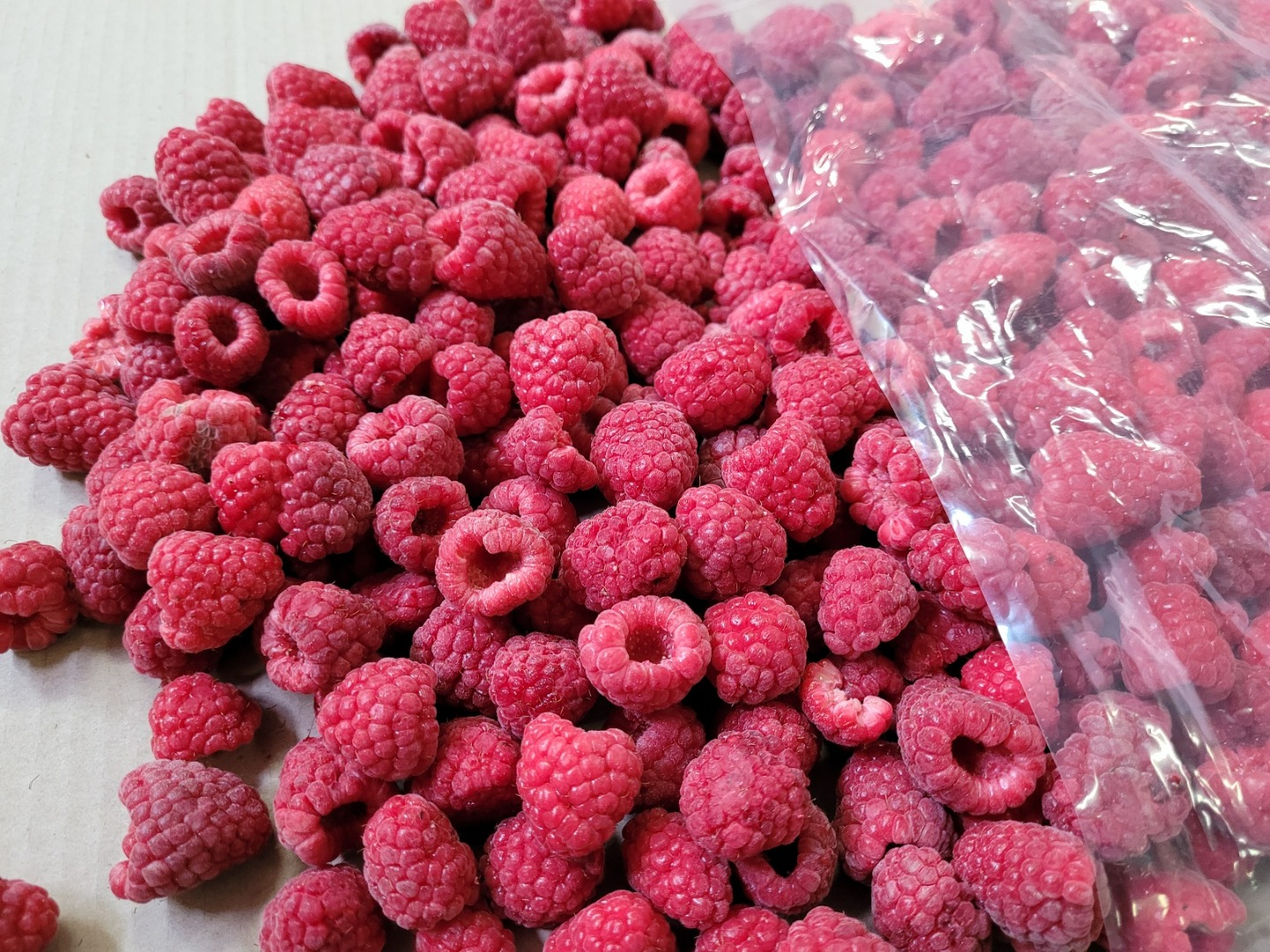 Venta de frambuesas congeladas, 90+, Embalaje individual: paquetes de 2,5 kg, Embalaje colectivo: cartón de 10 kg (4 x 2,5 kg)