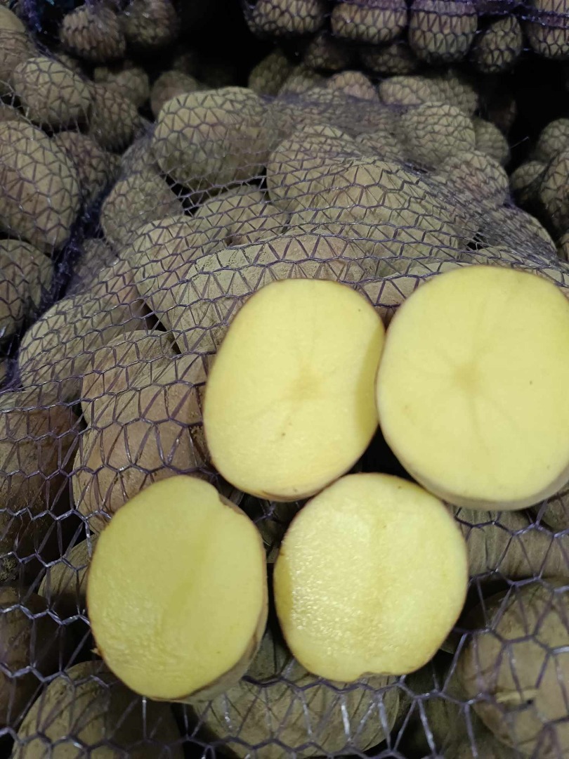 Vendo patatas de las variedades Soraya, Tajfun y Belarossa
