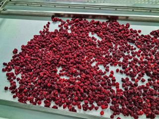 Nuestra empresa ucraniana ofrece frambuesas congeladas de alta calidad.