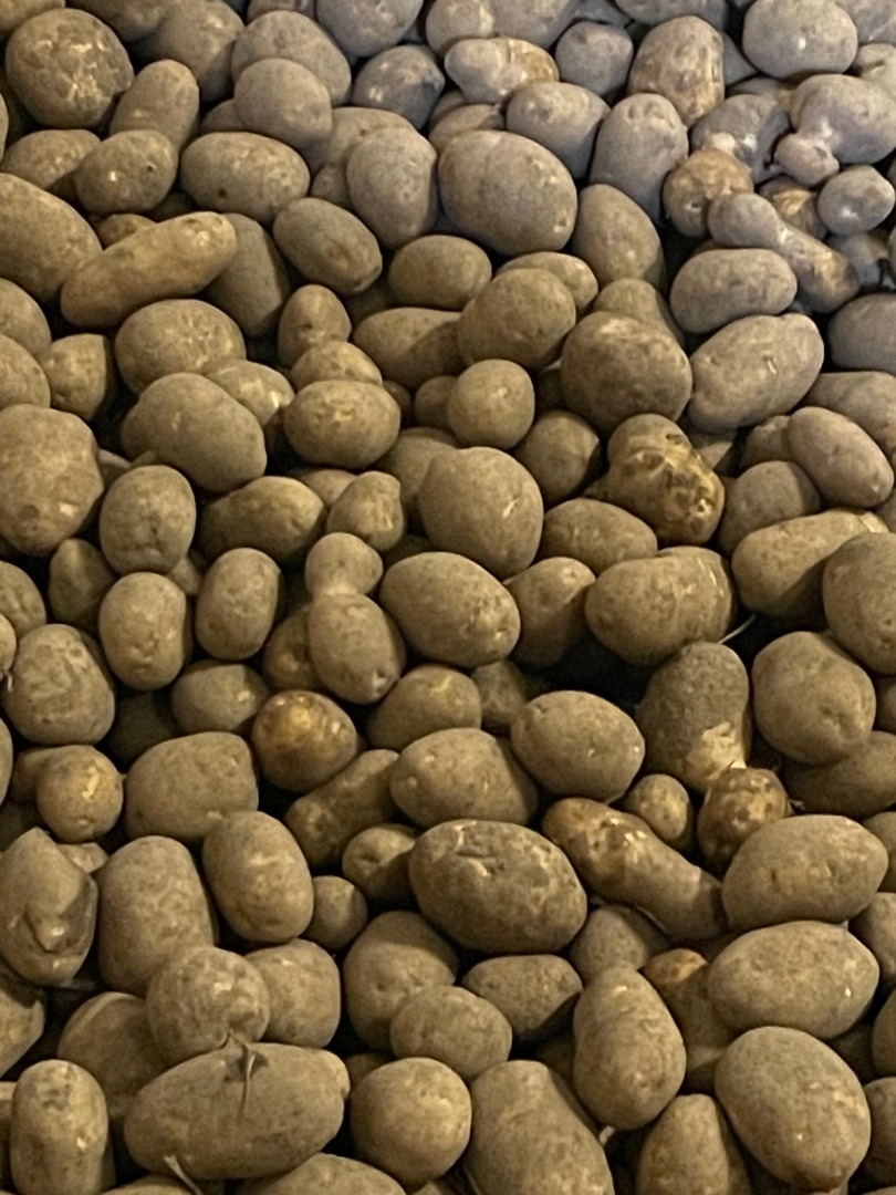 Venderé patatas