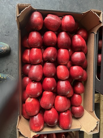 Vendo manzanas rojas Jonaprince