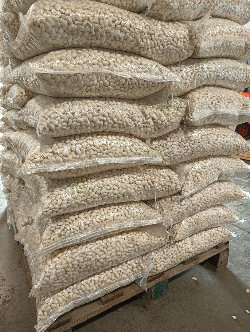 Vendo frijoles de varios tipos, productos secos con hasta un 16% de humedad, bien seleccionados y envasados en sacos de 10 kg, 25 kg, 50 kg o en sacos grandes