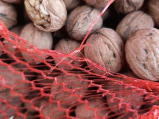 Vendo nueces con cáscara y sin cáscara, toneladas. Cosecha