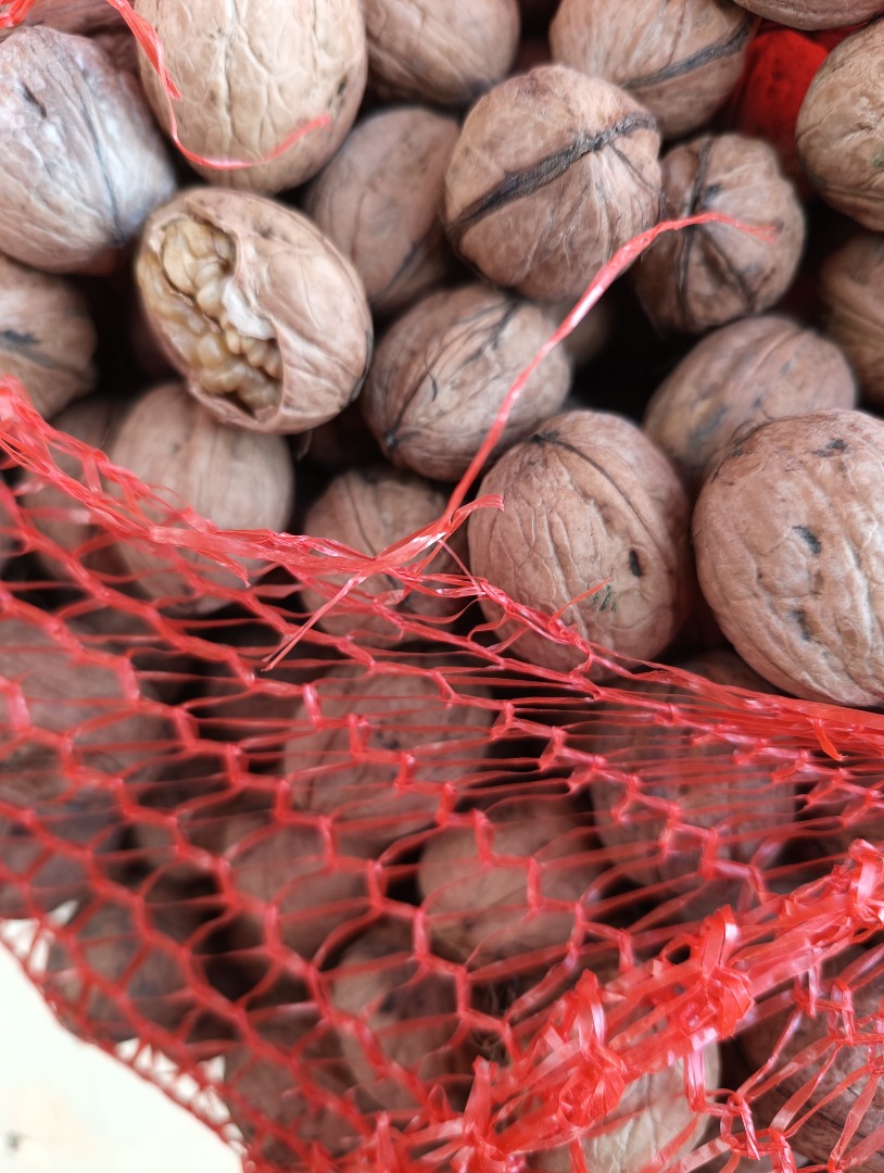 Vendo nueces con cáscara y sin cáscara, toneladas