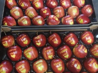 Venderé manzanas con las inscripciones TE AMO en las