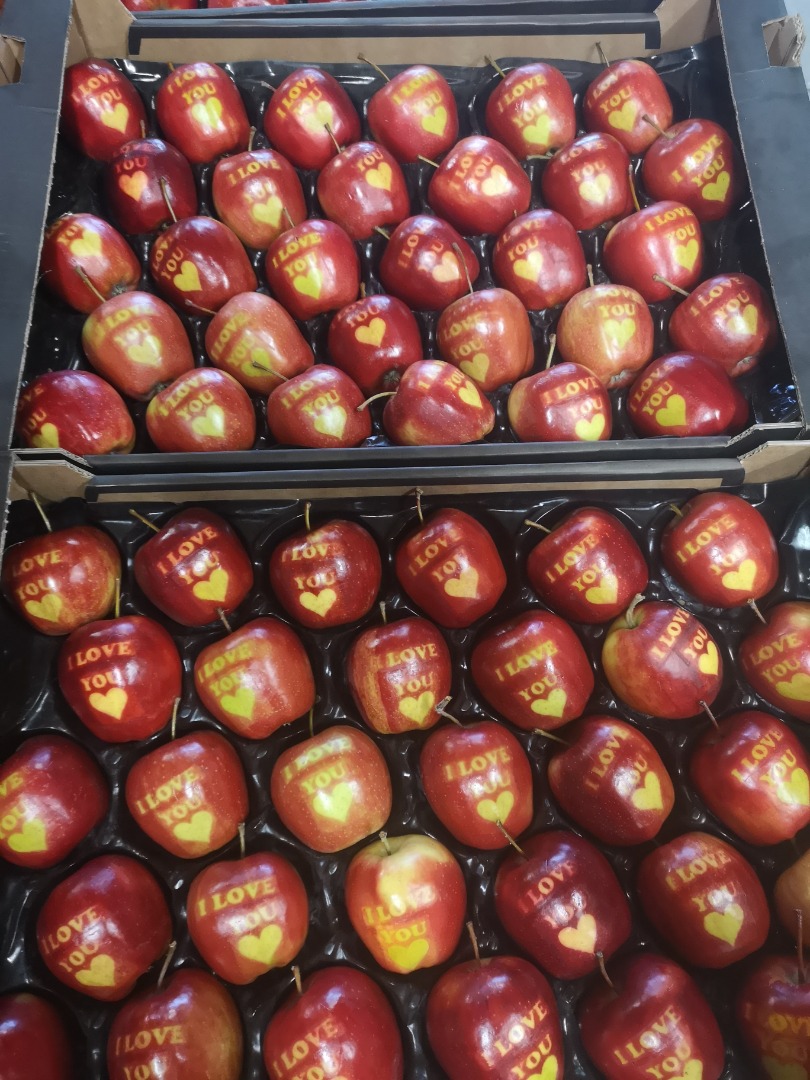Venderé manzanas con las inscripciones TE AMO en las variedades rojas jonaprince y rubinstar