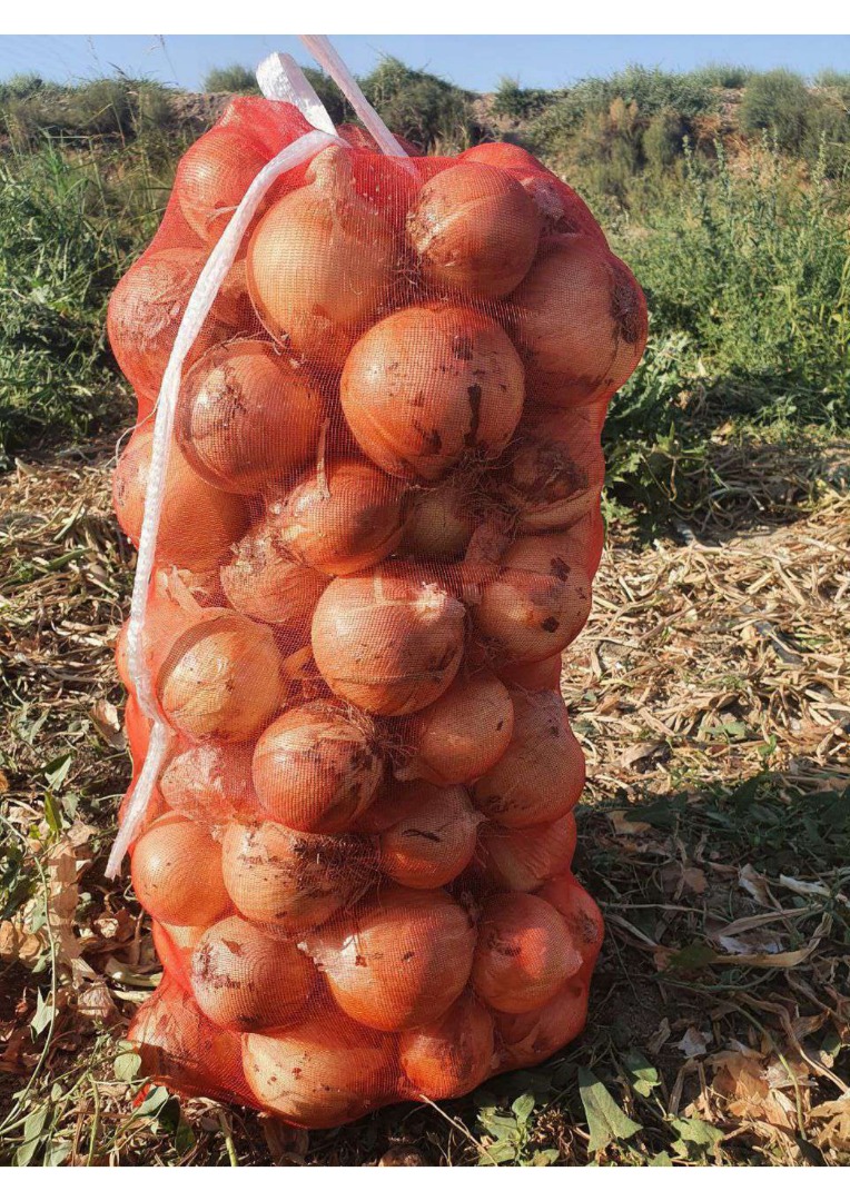 Nuestra empresa le ofrece entregas directas de cebollas amarillas, rojas y blancas desde Uzbekistán y Kazajstán a la Unión Europea