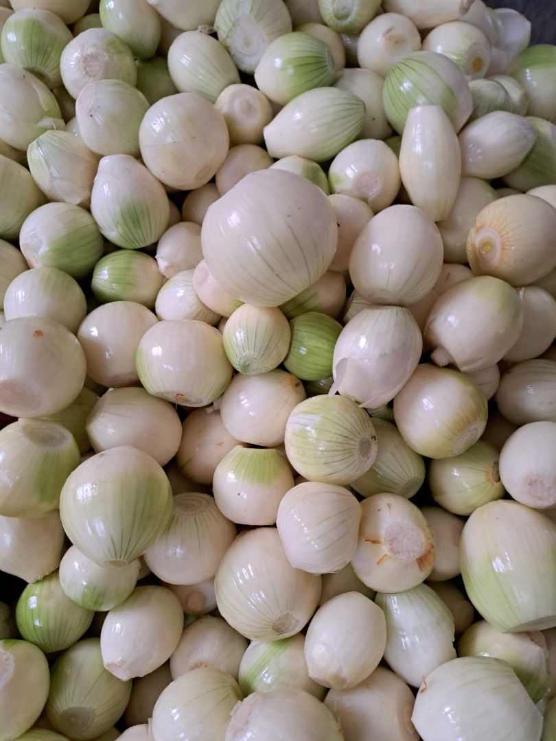 Venderé cebollas peladas