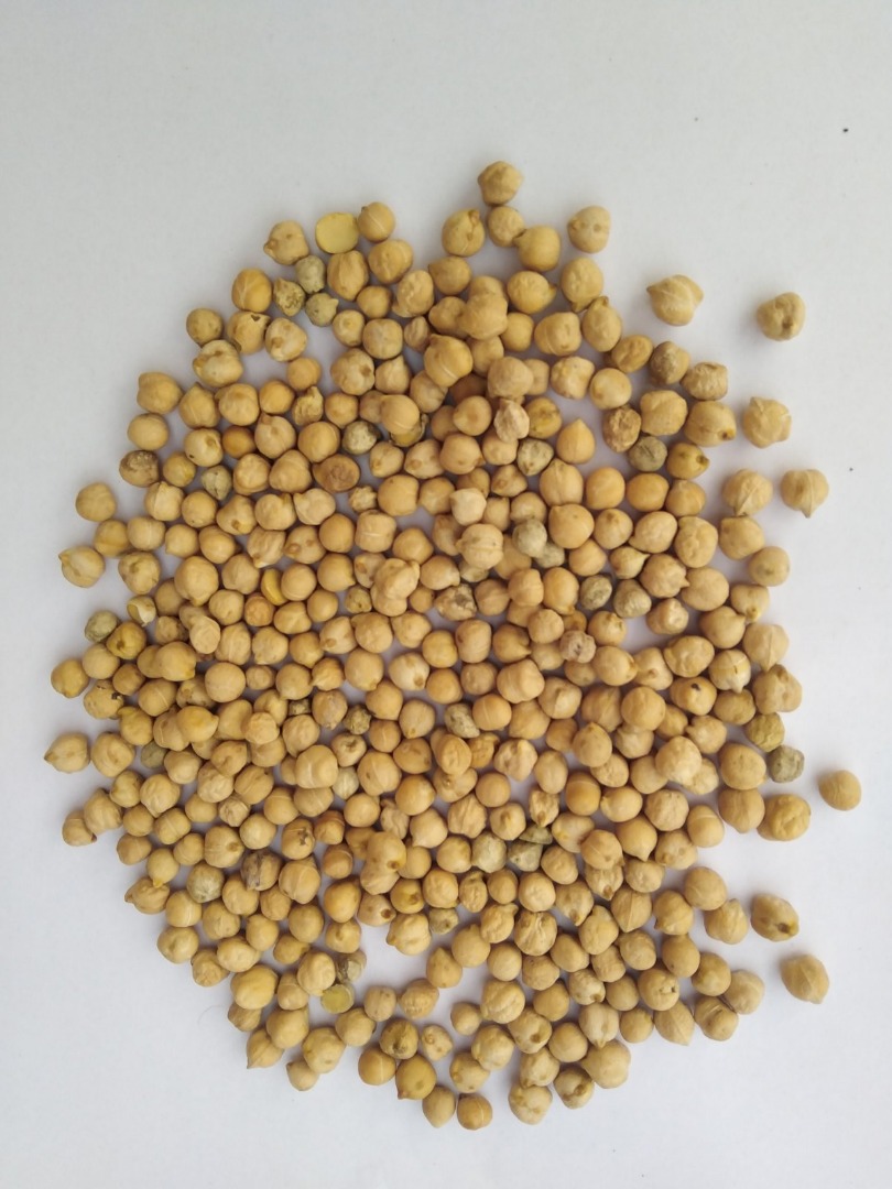 Garbanzos, origen - Ucrania, cosecha – 2023J