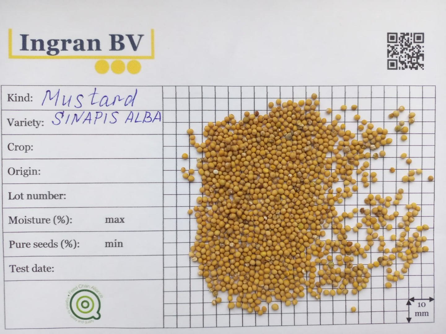 Nuestra empresa Ingran ofrece semillas de mostaza marrón (Brassica nigra) en bolsas grandes, precio con entrega, análisis Planton [dirección de correo