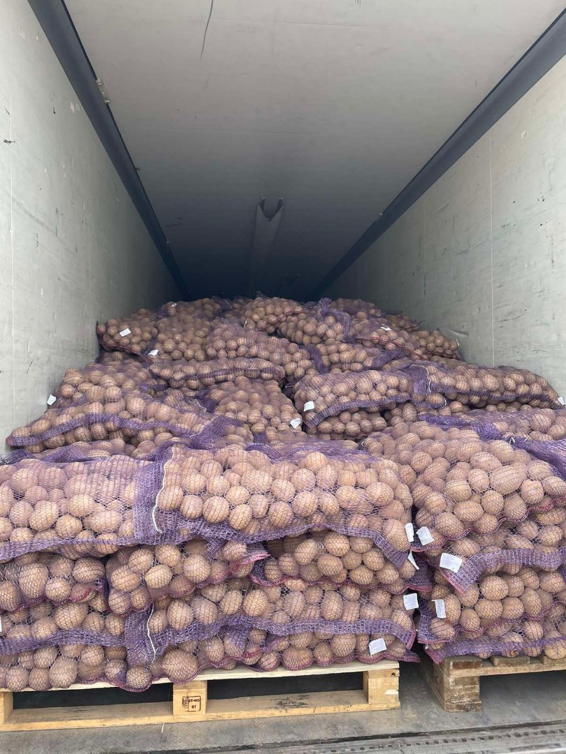 Nuestra empresa ofrece a la venta patatas de diferentes variedades (Gala, Colombo, Queen Anne y otras)