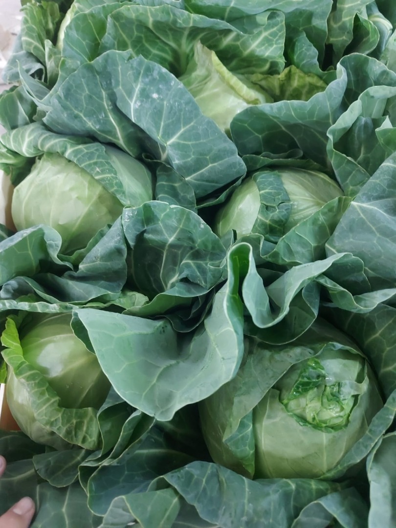 Somos una empresa que se dedica al cultivo de frutas y verduras, también cooperamos con nuestros compañeros agricultores cuando se necesitan mayores cantidades