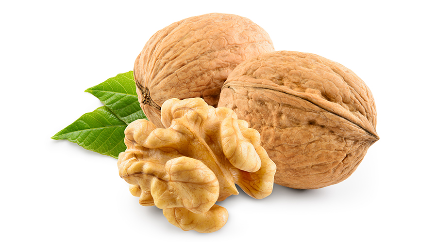 Llevamos 18 años fabricando y exportando frutos secos y semillas (desde 2006)