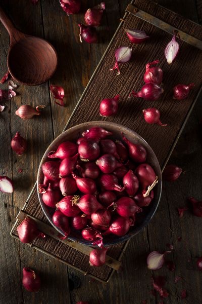 Cebolla morada cosecha 2024, calibre 5+ de la más alta calidad a precios competitivos