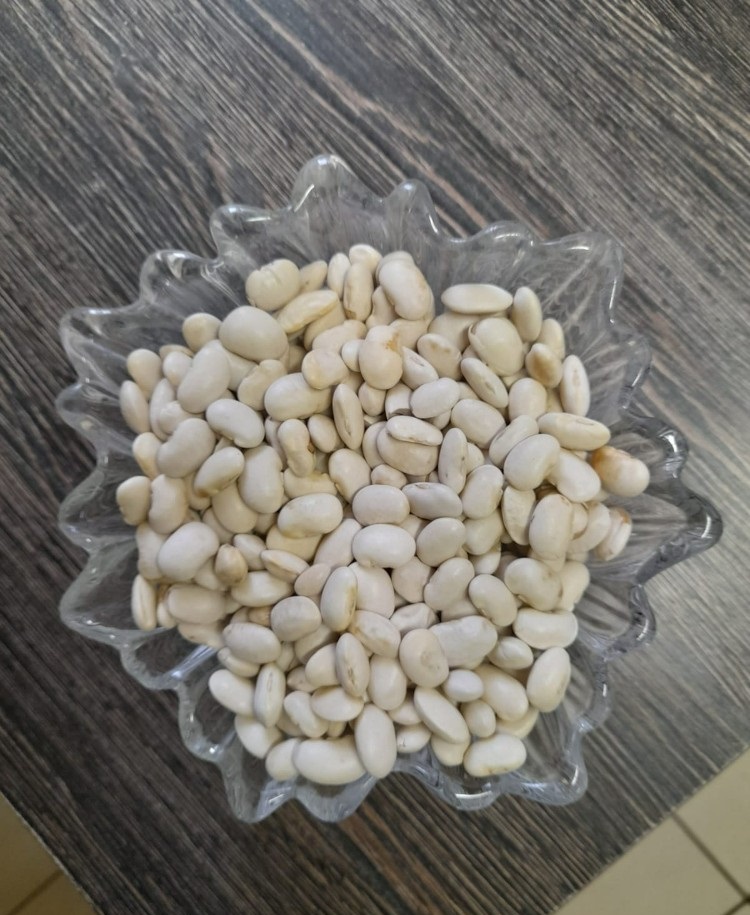 Buenos días, ofrecemos frijoles enanos de Jaś, grado 2