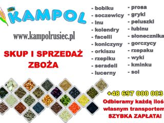 Compraré MIJO (amarillo, blanco, rojo), GUISANTES, PAPEL, TRIGO, CEBADA,