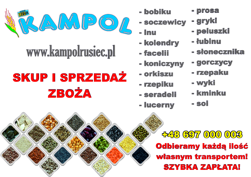 Compraré MIJO (amarillo, blanco, rojo), GUISANTES, PAPEL, TRIGO, CEBADA, FACELIA, MAÍZ PEQUEÑO (amarillo, rojo, negro, naranja), GIRASOL, LUPUINO, TRIGO
