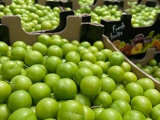 Vendemos ciruelas verdes al por mayor. Dado que la