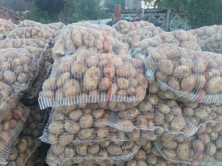 Hola, compraré patatas blancas y crema. En cantidades mayores,