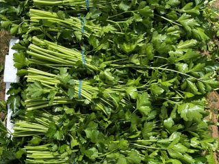 Buenos días, somos agricultores productores y exportadores de Perejil.[teléfono]emos