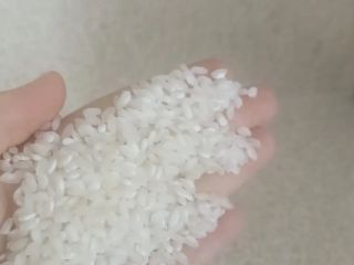 El mejor arroz kocan macedonio: diferentes tipos y clases,