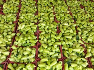 Exportación de pimiento verde fresco de Uzbekistán Nuestra empresa