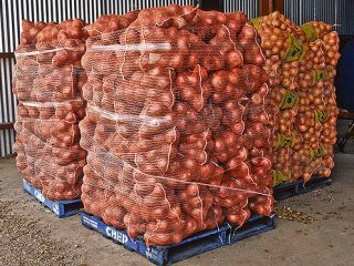 patatas, cebollas, zanahorias, ajo, repollo, garbanzos, lentejas, judías, anacardos,
