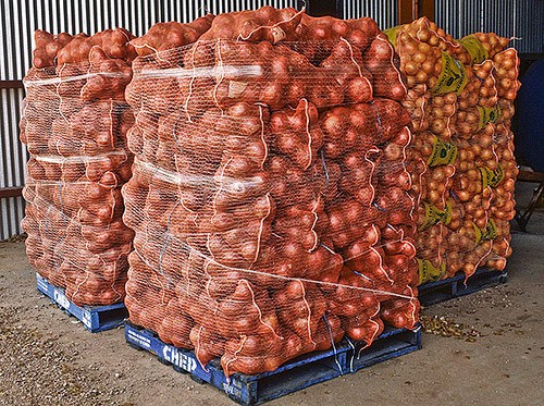 patatas, cebollas, zanahorias, ajo, repollo, garbanzos, lentejas, judías, anacardos, anacardos, nuez de cola, nuez de cola amarga, chufa, nuez de esquila