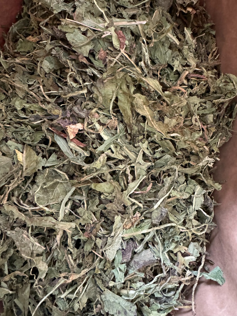 Venderé hojas de diente de león enteras, lotes de 8.500 kg y cortadas (2.100 kg)