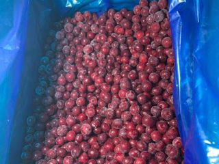 exportación de cerezas congeladas de Uzbekistán