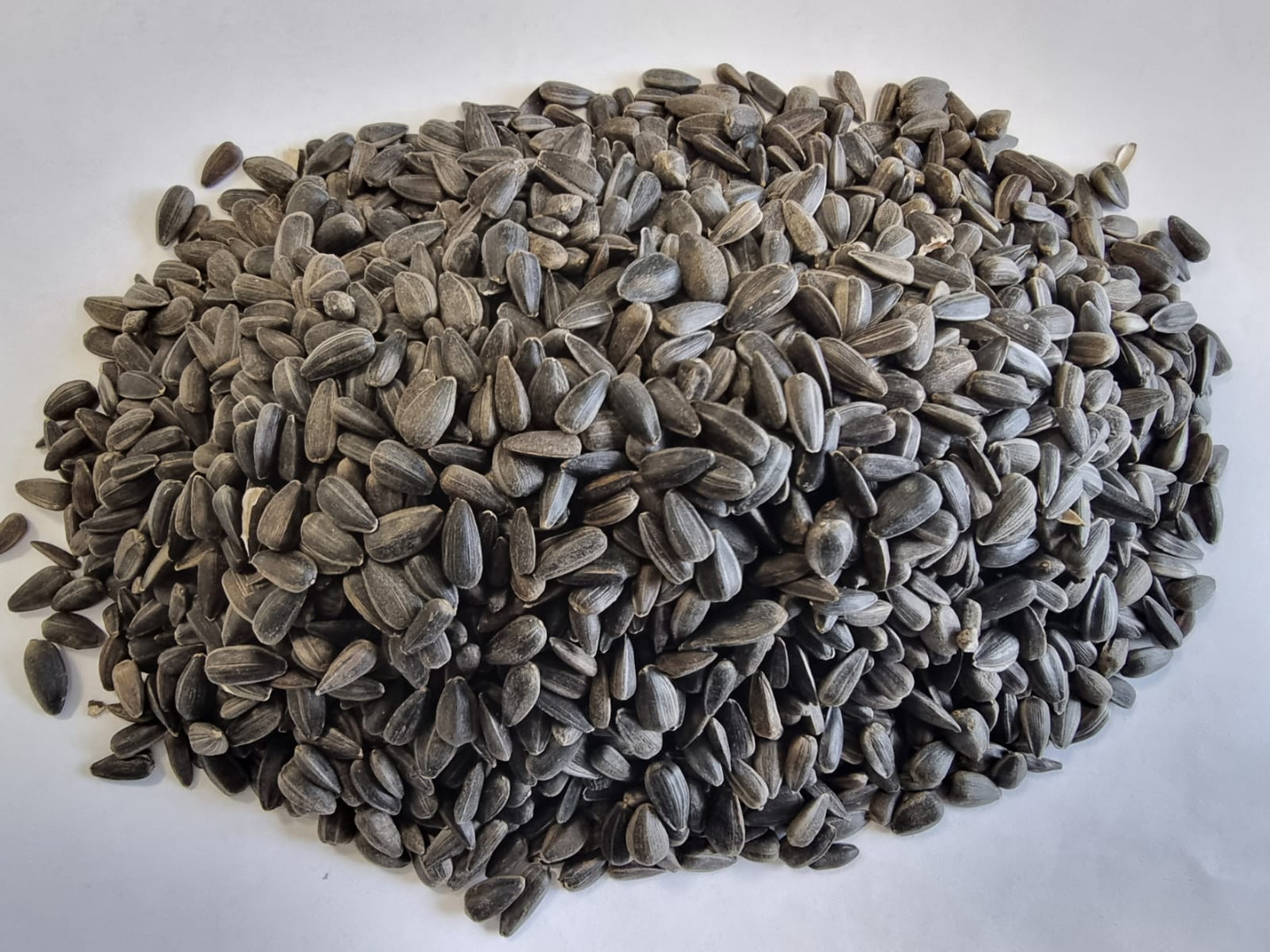 Girasol negro Precio indicado FCA Osina Mała, 98-358 Kiełczyglow Pureza: 99% Método de envasado a petición del cliente Precio a acordar y confirmación final