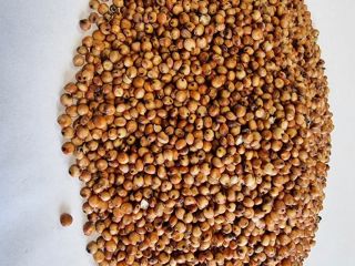 Sorgo rojo Precio dado FCA Osina Mała, 98-358 Kiełczyglow