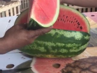 Somos importadores y productores de Sandia de zaghoura. Ofrecemos
